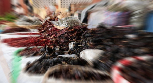 La Secretaría de Gobierno y Territorio niega reubicación de tianguis en la Unidad Modelo