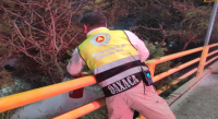 Protección Civil atiende incidencias menores durante emisión vespertina del Primer Lunes del Cerro