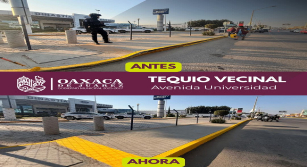 Trabajo que se ve: vecinas y vecinos realizan Tequio Vecinal en Avenida Universidad