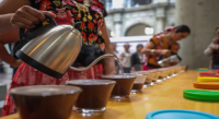 Realizarán del 6 al 8 de agosto Convención del Café Oaxaqueño 2024
