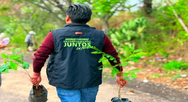 Realizan jornada de reforestación en San Luis Beltrán por el Día Mundial del Medio Ambiente