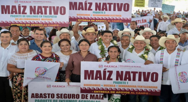 Invierte Primavera Oaxaqueña 79 mdp para transformar el campo en la Cuenca del Papaloapan