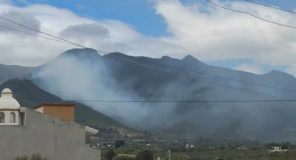 Exhorta CEPCyGR evitar acercarse al incendio forestal registrado en San Pablo Etla
