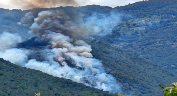 COESFO atiende incendio forestal en Santiago Juxtlahuaca