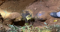 Localiza SSPC toma clandestina de hidrocarburo en el Istmo de Tehuantepec
