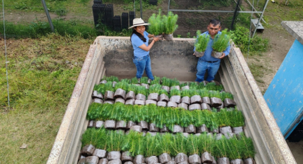 Impulsa Coesfo recuperación ecológica de Santa Ana Yareni con la donación de plantas