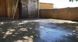 Entrega Sebienti 20 pisos firmes en Valles Centrales