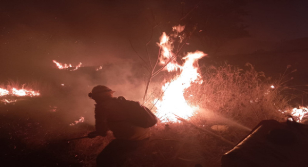 Atiende Coesfo incendios forestales en el Istmo, Costa y Sierra Sur