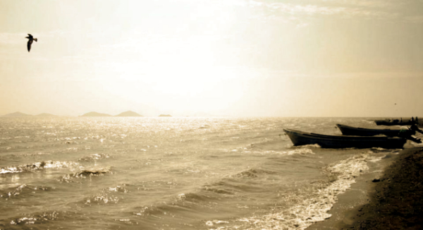 Encuentran 3 cuerpos sin vida de migrantes en playa de Oaxaca