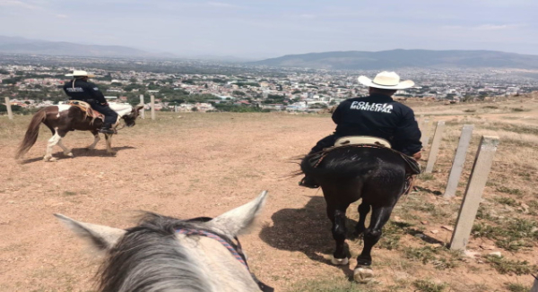 A caballo y con paso firme, Agrupamiento de Caballería refuerza la seguridad en Oaxaca de Juárez