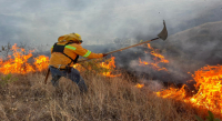 Atiende Coesfo incendios forestales en tres regiones de Oaxaca