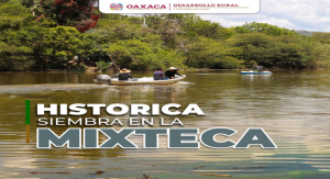 Repueblan la presa Yosocuta con 300 mil crías de tilapia para impulsar la pesca en la Mixteca
