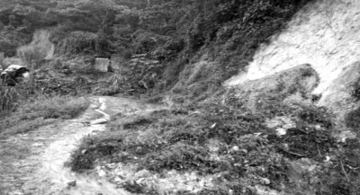 Oaxaca: supervisa Protección Civil deslave en la Sierra de Juárez