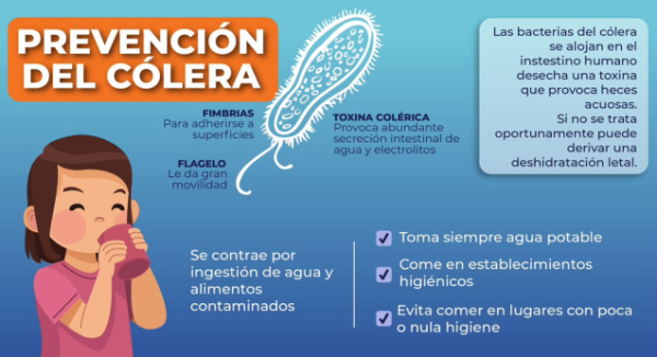 Fortalece SSO acciones de vigilancia epidemiológica para prevenir enfermedades diarreicas agudas