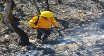 Liquida Coesfo incendio forestal en Santa María Zacatepec
