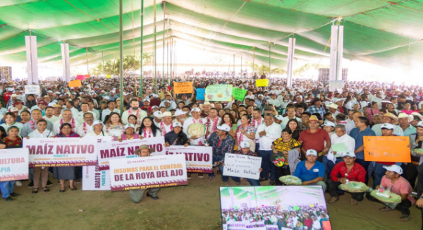 Garantiza Gobierno del Bienestar apoyo al campo en Valles Centrales