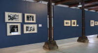 Lu’ Biaani: Francisco Toledo y la fotografía se presenta en el CaSa, tras recorrer museos del país