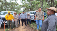 Participa Coesfo en la Jornada de Reforestación de San Pablo Huitzo