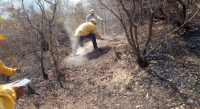 Reporta Gobierno del Estado 90% de control y 50% de liquidación de incendio originado en San Lucas Quiaviní