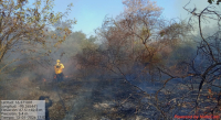 Liquida Coesfo incendio de pastizales en Santa María Mixtequilla