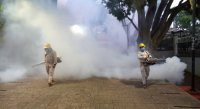 Refuerzan acciones preventivas contra dengue en inmediaciones del Auditorio Guelaguetza
