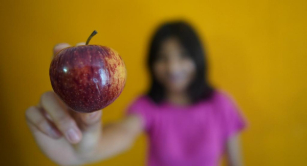 Mala nutrición, de las principales causas de mortalidad prematura: SSO