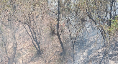 Atiende Coesfo incendio forestal en Ixtlán de Juárez