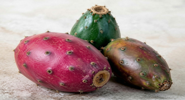 Oaxaca, segundo productor nacional de pitaya con más de mil 492 toneladas en 2024