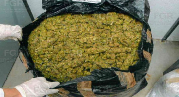 FGR vincula a proceso a cuatro personas detenidas junto con más de 150 kilos de marihuana en Oaxaca