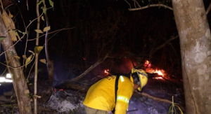 Combate Coesfo tres incendios forestales en Sierra Sur e Istmo de Tehuantepec