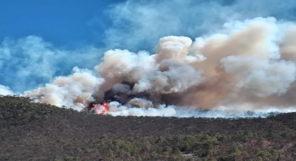 Coesfo liquida y controla cinco incendios en Oaxaca
