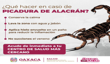 Emite SSO recomendaciones para evitar picadura de alacrán