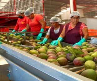 Paz y gobernabilidad en Oaxaca abren puerta al mercado internacional a través de Concamin