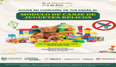 Impulsar jornada de desarme voluntario en Oaxaca de Juárez