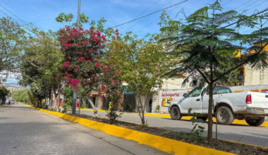 Vecinas y vecinos se suman al tequio en la colonia del Maestro