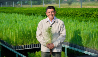 Con compromiso sustentable, Oaxaca hará equipo en la Jornada Nacional de Reforestación 2026