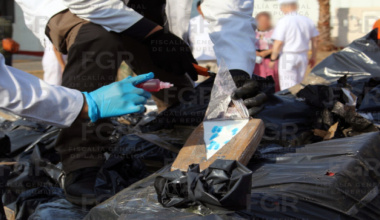 Gobiernos de Oaxaca y Federal coordinados contra el narcotráfico