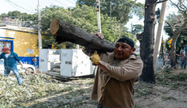 Municipio de Oaxaca de Juárez realiza poda preventiva en Manuel Sabino Crespo
