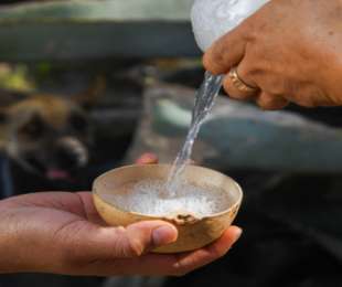 Oaxaca, en el puntero de la producción nacional de mezcal