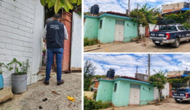 Gobierno Municipal de Oaxaca de Juárez atiende reporte ciudadano por bienestar animal