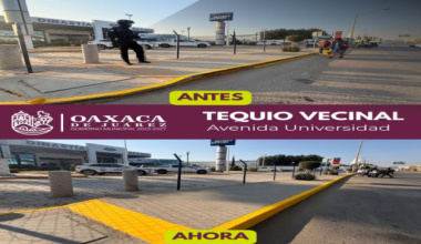 Trabajo que se ve: vecinas y vecinos realizan Tequio Vecinal en Avenida Universidad