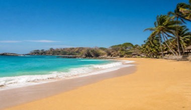Playas del estado son aptas para uso recreativo durante el periodo vacacional de verano