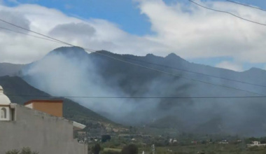Exhorta CEPCyGR evitar acercarse al incendio forestal registrado en San Pablo Etla