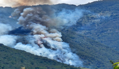 COESFO atiende incendio forestal en Santiago Juxtlahuaca