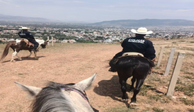 A caballo y con paso firme, Agrupamiento de Caballería refuerza la seguridad en Oaxaca de Juárez