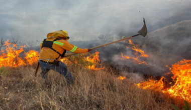 Atiende Coesfo incendios forestales en tres regiones de Oaxaca
