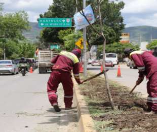 Programa Linda Oaxaca 