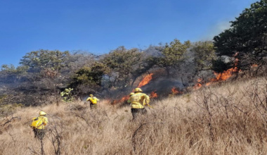 Atiende Coesfo cuatro incendios forestales en Oaxaca