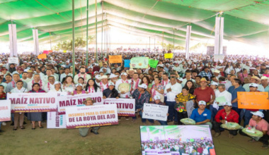 Garantiza Gobierno del Bienestar apoyo al campo en Valles Centrales