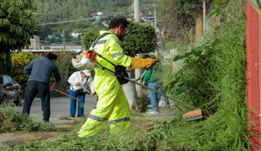 Vecinas y vecinos realizan tequio en San Martín Mexicapam